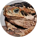 Arthur Lauermann profile picture